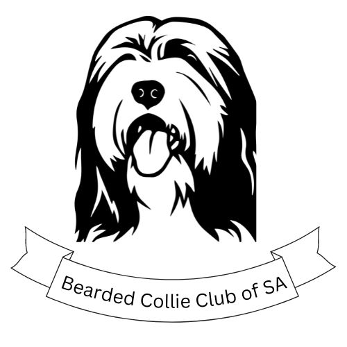 Bearded Collie Club of SA