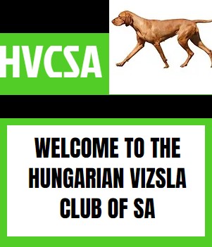 Hungarian Vizsla Club of SA