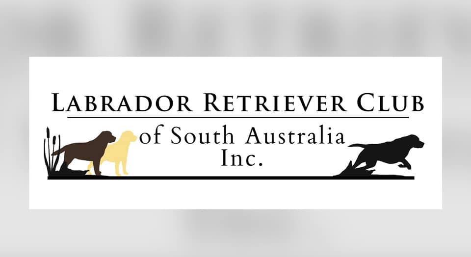 Labrador Retriever Club of SA Inc
