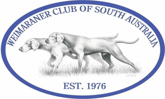 Weimaraner Club of SA Inc