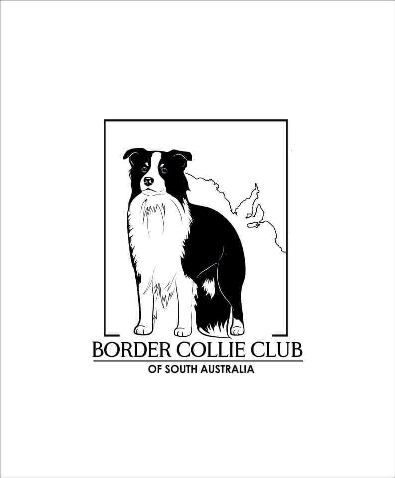 Border Collie Club of South Australia Inc.