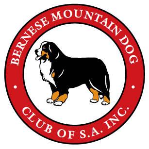 Bernese Mountain Dog Club of SA Inc