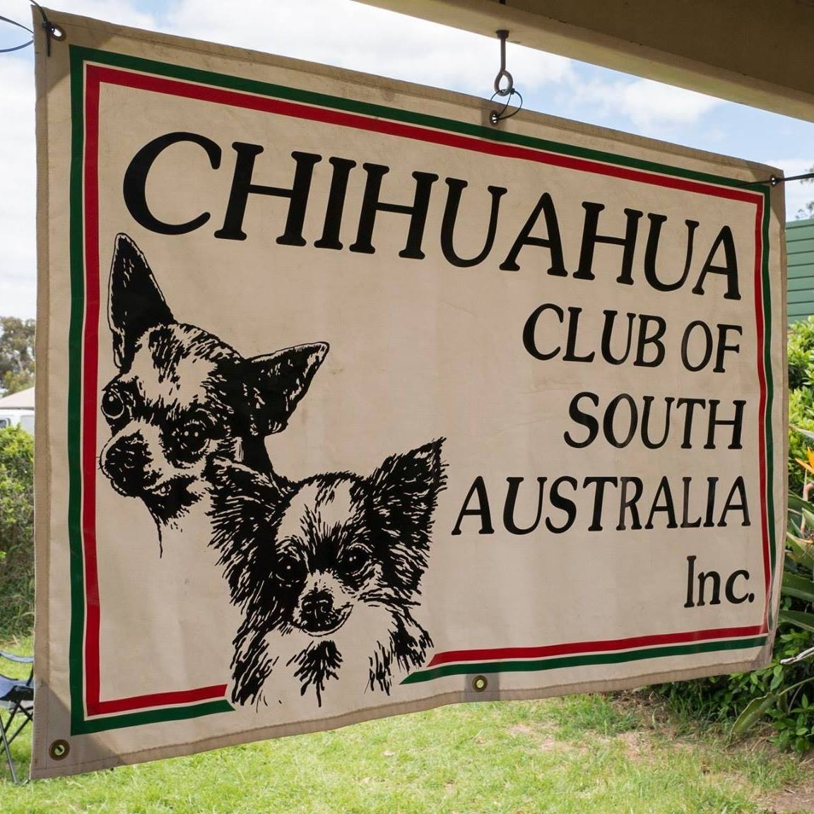 Chihuahua Club of SA Inc